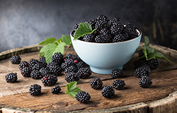 A bowl of blackberries awaits preparation (Stock photo)