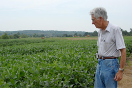 scientist looking over soybean in the field